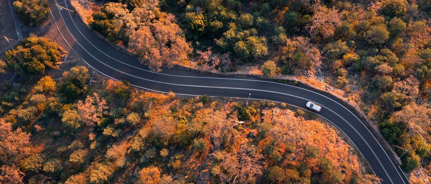 COME WITH US TO TAMWORTH